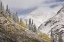 Picture of CO, ROCKY MTS, CINNAMON PASS AUTUMN SNOWFALL,