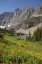 Picture of MONTANA, GLACIER NP MEADOW ABOVE ICEBERG LAKE