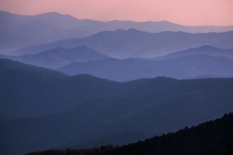 Picture of TN, GREAT SMOKY MTS MOUNTAIN RIDGES AT SUNSET