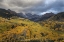 Picture of CO, WHITE RIVER NF, CAPITOL PEAK VALLEY STORM