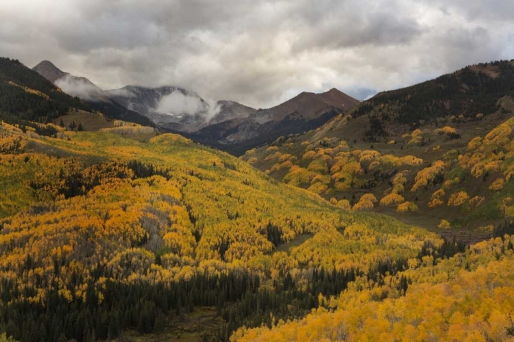 Picture of CO, WHITE RIVER NF, CAPITOL PEAK VALLEY STORM