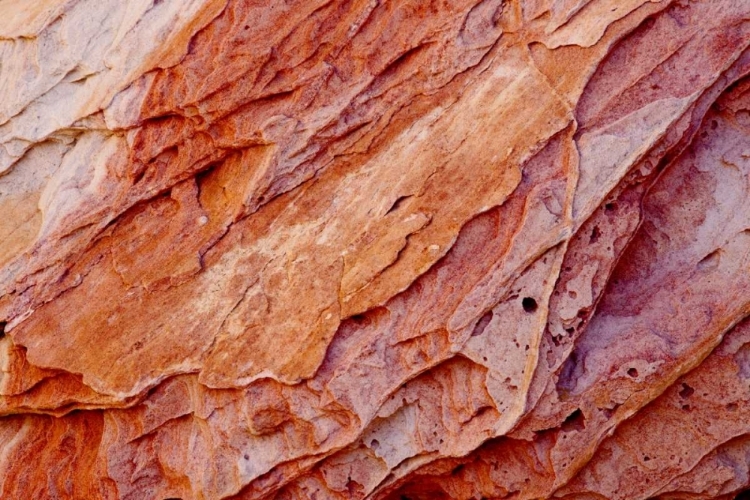 Picture of NEVADA, VALLEY OF FIRE SP LAYERS OF SANDSTONE