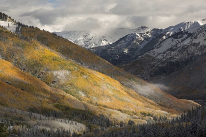 Picture of CO, SAN JUAN MTS RED MOUNTAIN PASS AFTER SNOW