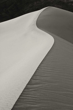 Picture of CA, DEATH VALLEY S-SHAPED DUNE RIDGE IN MORNING