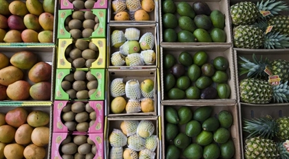 Picture of UAE, ABU DHABI VARIOUS FRUIT IN BOXES AT MARKET