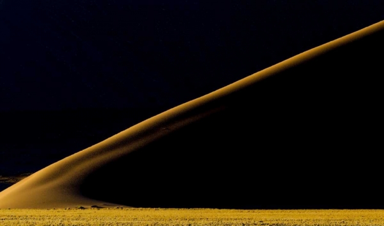 Picture of NAMIBIA, NAMIB-NAUKLUFT NP ABSTRACT OF SAND DUNE