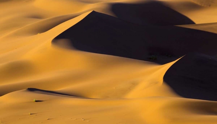 Picture of NAMIBIA, NAMIB-NAUKLUFT NP ABSTRACT OF SAND DUNE