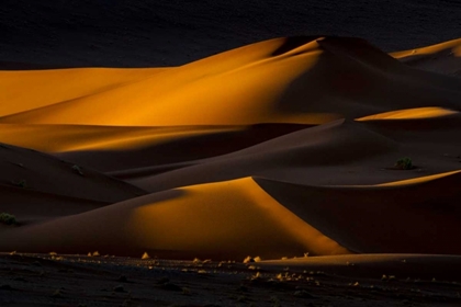 Picture of NAMIBIA, NAMIB-NAUKLUFT NP ABSTRACT OF SAND DUNE