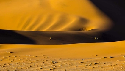 Picture of NAMIBIA, NAMIB-NAUKLUFT NP ABSTRACT OF SAND DUNE