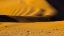 Picture of NAMIBIA, NAMIB-NAUKLUFT NP ABSTRACT OF SAND DUNE