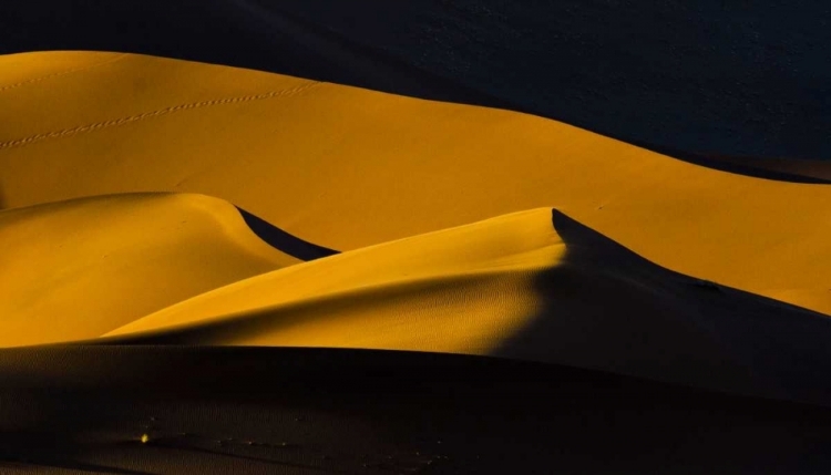 Picture of NAMIBIA, NAMIB-NAUKLUFT NP ABSTRACT OF SAND DUNE