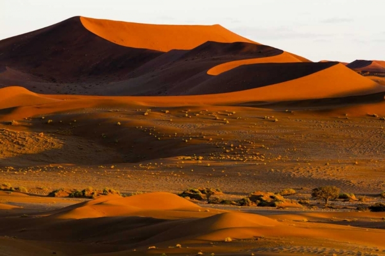 Picture of NAMIBIA, NAMIB-NAUKLUFT NP ABSTRACT OF SAND DUNE