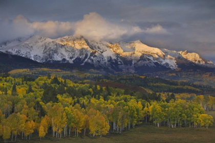 Picture of CO, ROCKY MTS SUNRISE OVER THE SNEFFELS RANGE