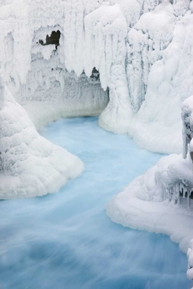 Picture of CANADA, JASPER NP ATHABASCA RIVER THROUGH ICE