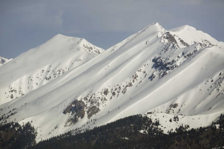 Picture of COLORADO FRESH SPRING SNOW COATS SAWATCH RANGE