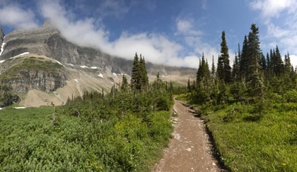 Picture of MONTANA, GLACIER NP HIKING TRAIL AND LANDSCAPE