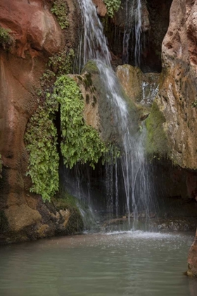 Picture of ARIZONA, GRAND CANYON WATERFALL AT ELVES CHASM