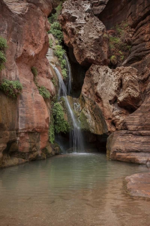 Picture of ARIZONA, GRAND CANYON WATERFALL AT ELVES CHASM