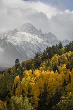 Picture of COLORADO, SNEFFELS RANGE MT SNEFFELS AT SUNSET