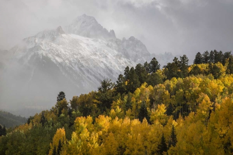 Picture of COLORADO, SNEFFELS RANGE MT SNEFFELS AT SUNSET