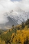 Picture of COLORADO, SNEFFELS RANGE MT SNEFFELS AT SUNSET