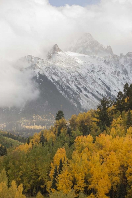 Picture of COLORADO, SNEFFELS RANGE MT SNEFFELS AT SUNSET