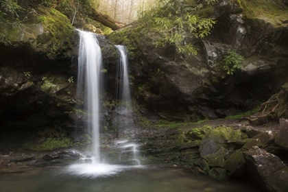Picture of TENNESSEE, GREAT SMOKY MTS GROTTO FALLS SCENIC