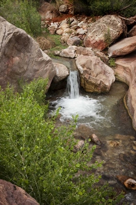 Picture of AZ, GRAND CANYON, DEER CREEK WATERFALL AND POOL