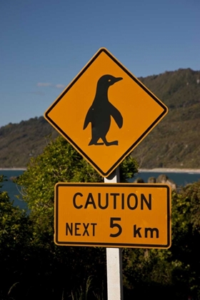 Picture of NEW ZEALAND, SOUTH ISLAND TRAFFIC WARNING SIGN