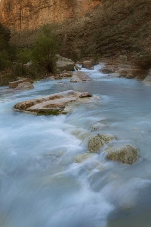 Picture of AZ, GRAND CANYON, HAVASU CREEKS THROUGH CANYON