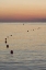 Picture of UAE, FUJAIRAH SUNRISE OVER MARKER BUOYS ON BEACH
