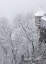 Picture of AUSTRIA, SALZBURG SALZBURG CASTLE WALL IN WINTER