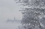 Picture of CANADA, OTTAWA, OTTAWA RIVER PARLIAMENT BUILDING