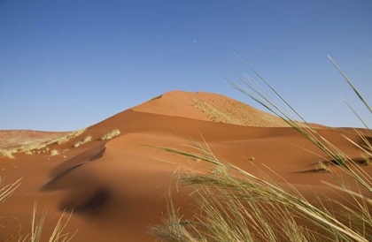 Picture of SAND DUNES, NAMIB NAUKLUFT, NAMIB DESERT, NAMIBIA