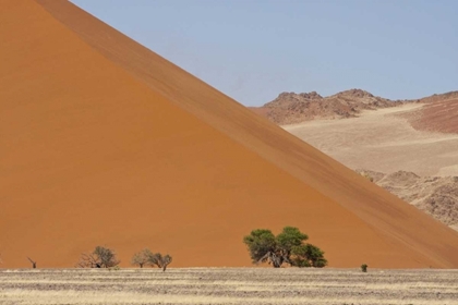 Picture of SAND DUNES, NAMIB NAUKLUFT, NAMIB DESERT, NAMIBIA