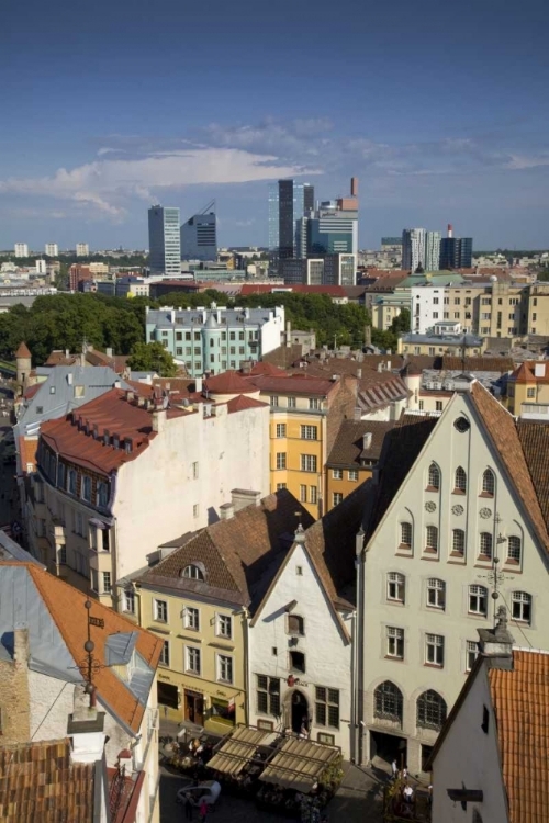 Picture of ESTONIA, TALLINN VIEW OF CITY