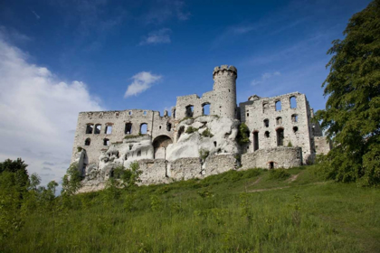 Picture of POLAND VIEW OF OGRODZIENIEC CASTLE