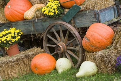 Picture of TENNESSEE, TOWNSEND HALLOWEEN DISPLAY