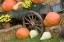 Picture of TENNESSEE, TOWNSEND HALLOWEEN DISPLAY