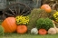 Picture of TENNESSEE, TOWNSEND HALLOWEEN DISPLAY