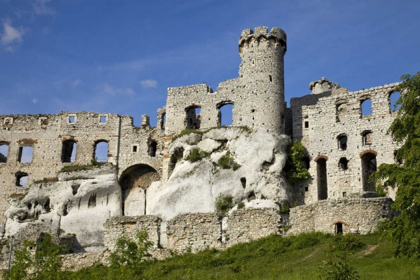 Picture of POLAND CLOSE-UP OF OGRODZIENIEC CASTLE