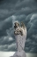 Picture of ARTISTIC CREATION OF ANGEL AND DARK CLOUDS