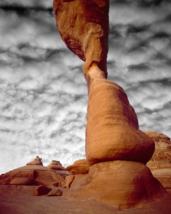 Picture of UT, ARCHES NP DELICATE ARCH AGAINST CLOUDS
