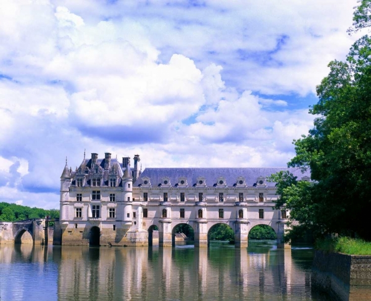 Picture of FRANCE, LOIRE VALLEY CHATEAU DE CHENONCEAU