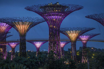 Picture of SINGAPORE GARDEN BY THE SEA TOWERS AT NIGHT