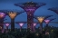 Picture of SINGAPORE GARDEN BY THE SEA TOWERS AT NIGHT