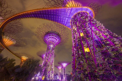 Picture of SINGAPORE GARDEN BY THE SEA TOWERS AT NIGHT