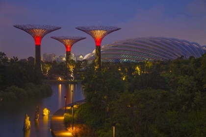 Picture of SINGAPORE GARDEN BY THE SEA TOWERS AT NIGHT