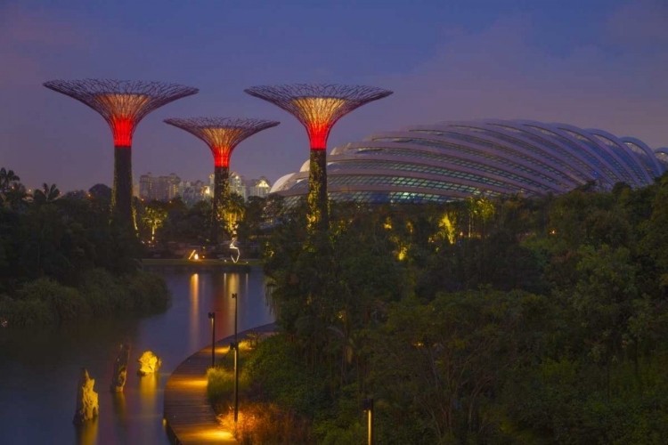 Picture of SINGAPORE GARDEN BY THE SEA TOWERS AT NIGHT