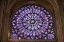 Picture of FRANCE, PARIS NOTRE DAME CATHEDRAL INTERIOR